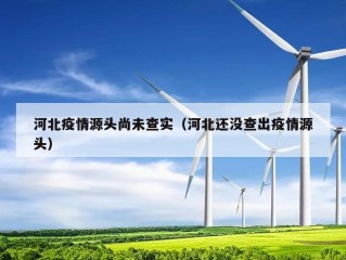 河北疫情源头尚未查实（河北还没查出疫情源头）