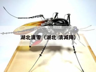 湖北清零（湖北 清减降）