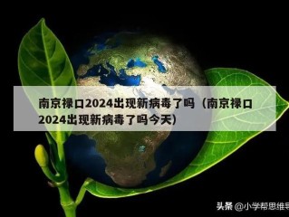 南京禄口2024出现新病毒了吗（南京禄口2024出现新病毒了吗今天）