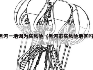 黑河一地调为高风险（黑河市高风险地区吗）
