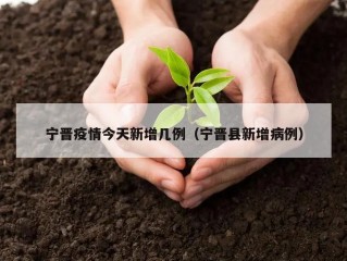 宁晋疫情今天新增几例（宁晋县新增病例）